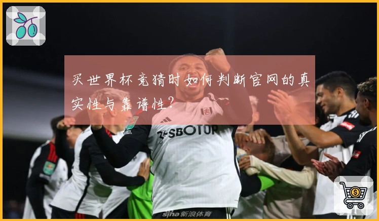 买世界杯竞猜时如何判断官网的真实性与靠谱性？