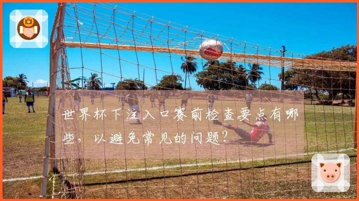 世界杯下注入口赛前检查要点有哪些，以避免常见的问题？