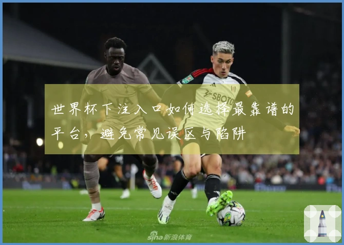 世界杯下注入口如何选择最靠谱的平台，避免常见误区与陷阱
