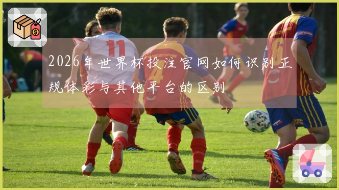 2026年世界杯投注官网如何识别正规体彩与其他平台的区别