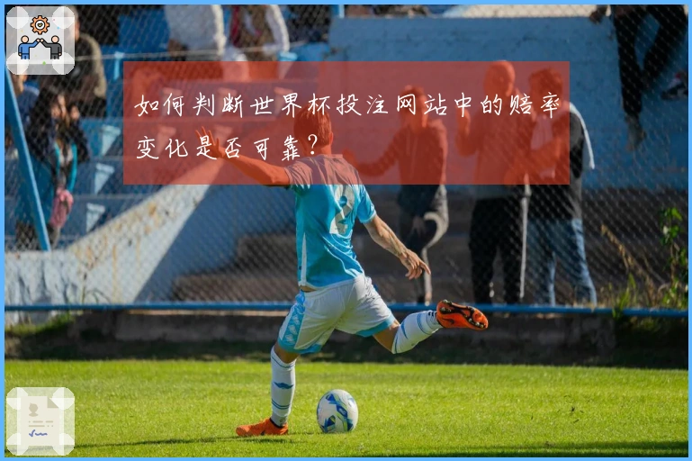 如何判断世界杯投注网站中的赔率变化是否可靠？