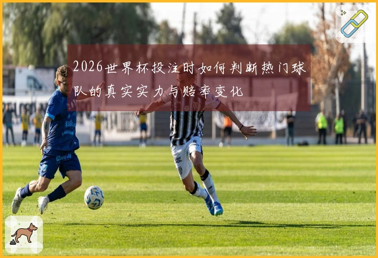 2026世界杯投注时如何判断热门球队的真实实力与赔率变化