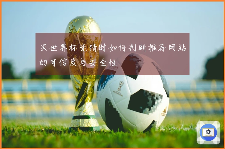 买世界杯竞猜时如何判断推荐网站的可信度与安全性