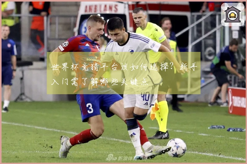 世界杯竞猜平台该如何选择？新手入门需了解哪些关键点