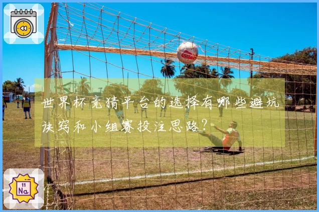 世界杯竞猜平台的选择有哪些避坑诀窍和小组赛投注思路？