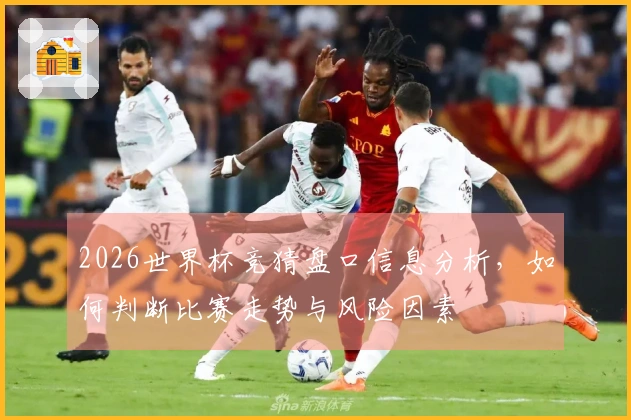 2026世界杯竞猜盘口信息分析，如何判断比赛走势与风险因素