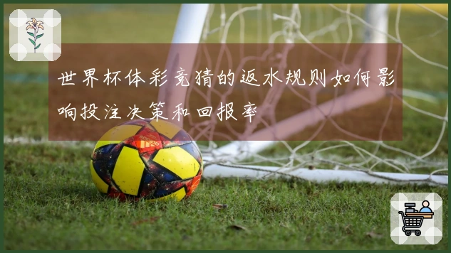 世界杯体彩竞猜的返水规则如何影响投注决策和回报率