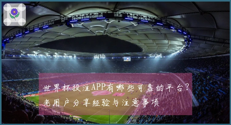 世界杯投注APP有哪些可靠的平台？老用户分享经验与注意事项
