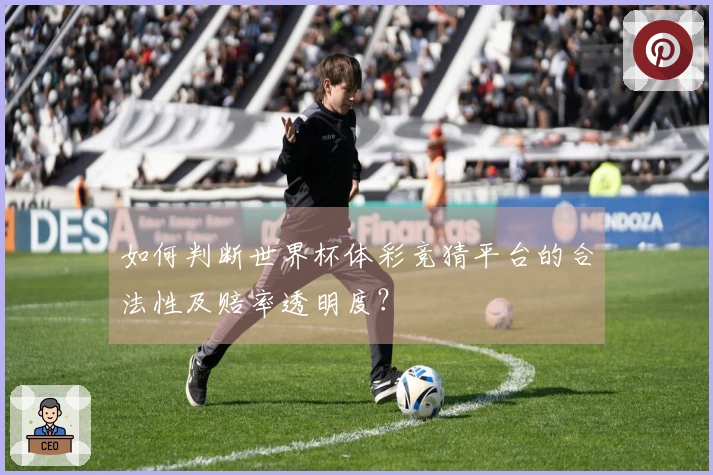 如何判断世界杯体彩竞猜平台的合法性及赔率透明度？