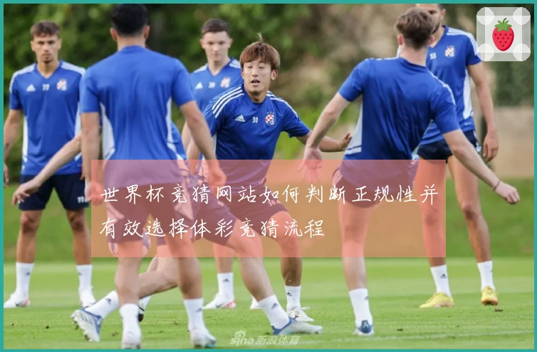 世界杯竞猜网站如何判断正规性并有效选择体彩竞猜流程