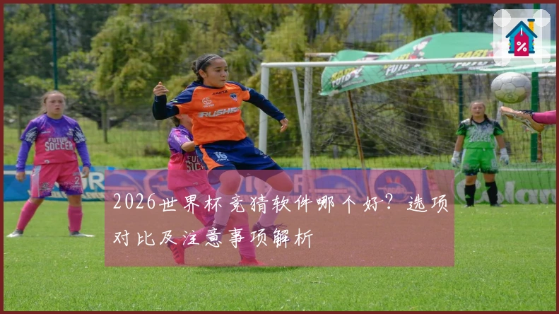2026世界杯竞猜软件哪个好？选项对比及注意事项解析