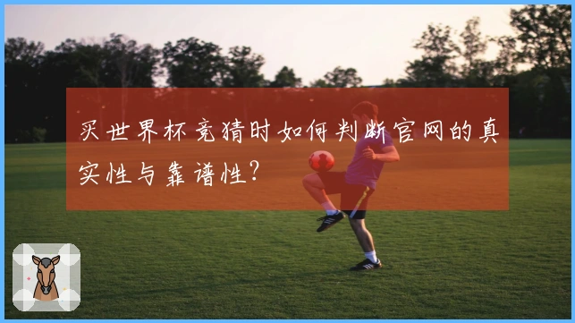 买世界杯竞猜时如何判断官网的真实性与靠谱性？