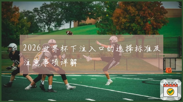 2026世界杯下注入口的选择标准及注意事项详解