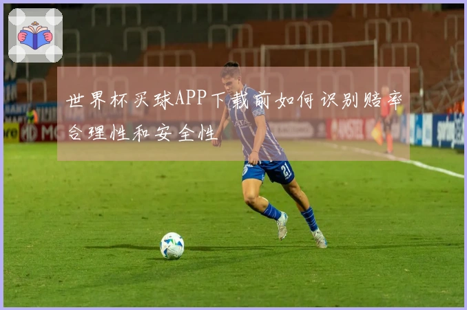 世界杯买球APP下载前如何识别赔率合理性和安全性