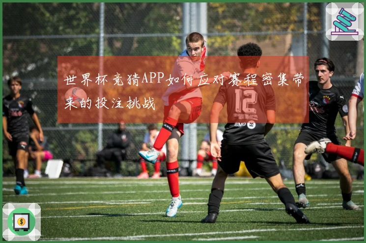 世界杯竞猜APP如何应对赛程密集带来的投注挑战
