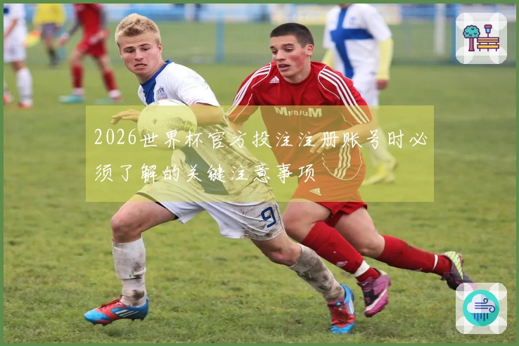 2026世界杯官方投注注册账号时必须了解的关键注意事项