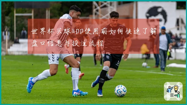 世界杯买球app使用前如何快速了解盘口信息与投注流程