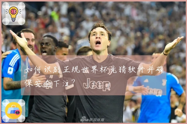 如何识别正规世界杯竞猜软件并确保安全下注？