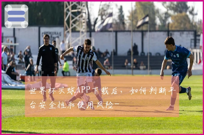 世界杯买球APP下载后，如何判断平台安全性和使用风险-