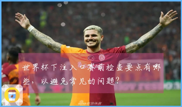 世界杯下注入口赛前检查要点有哪些，以避免常见的问题？
