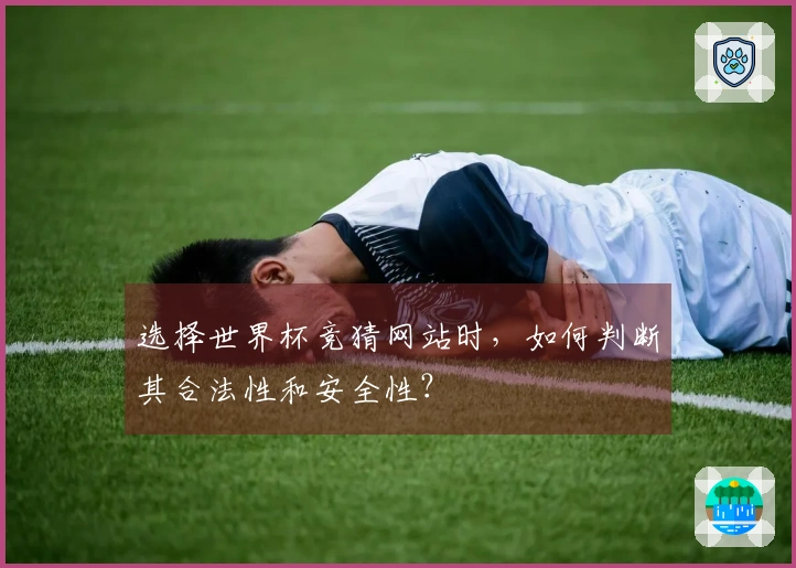 选择世界杯竞猜网站时，如何判断其合法性和安全性？