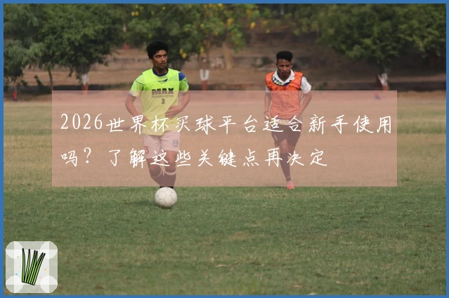 2026世界杯买球平台适合新手使用吗？了解这些关键点再决定