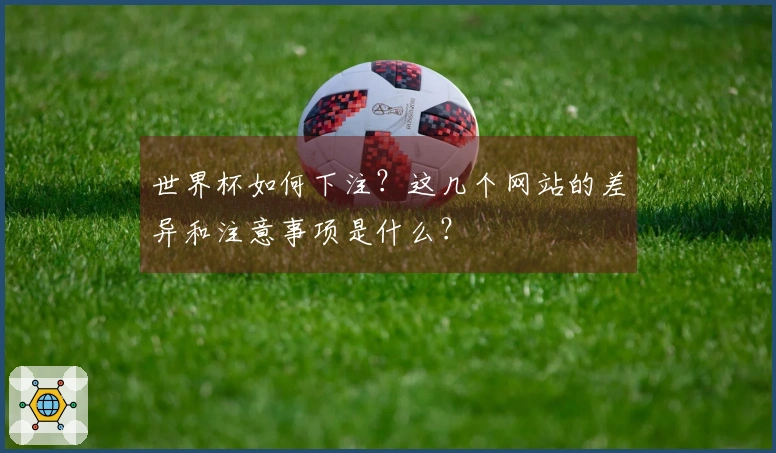 世界杯如何下注？这几个网站的差异和注意事项是什么？