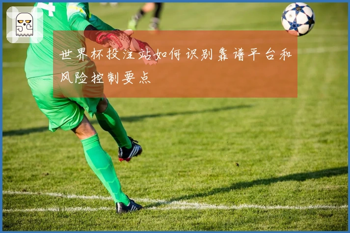 世界杯投注站如何识别靠谱平台和风险控制要点
