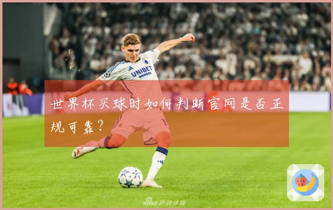 世界杯买球时如何判断官网是否正规可靠？