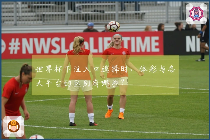 世界杯下注入口选择时，体彩与各大平台的区别有哪些？