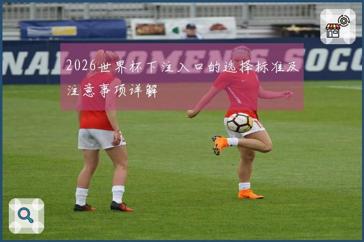 2026世界杯下注入口的选择标准及注意事项详解