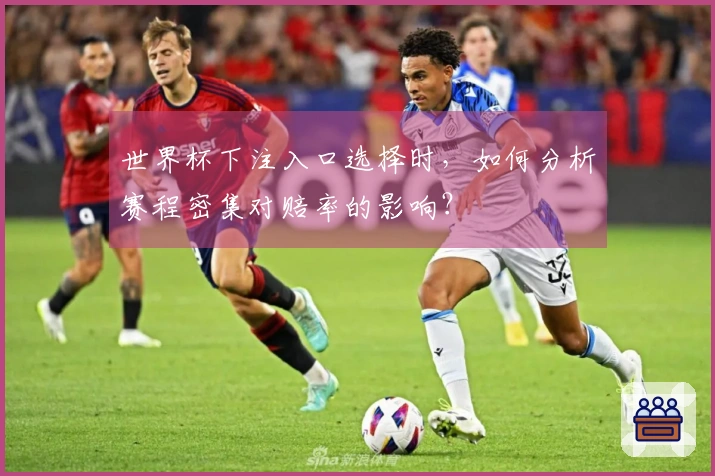 世界杯下注入口选择时，如何分析赛程密集对赔率的影响？