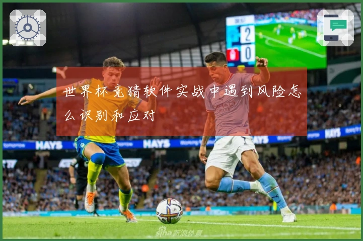 世界杯竞猜软件实战中遇到风险怎么识别和应对