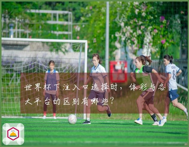 世界杯下注入口选择时，体彩与各大平台的区别有哪些？