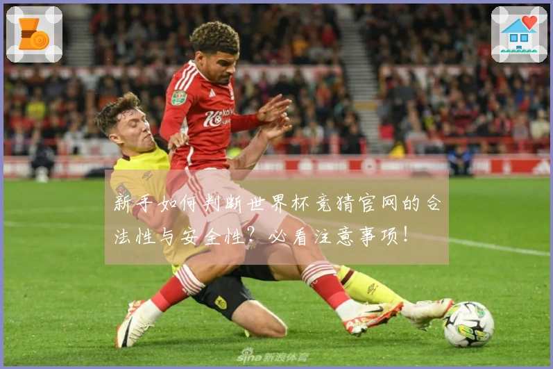 新手如何判断世界杯竞猜官网的合法性与安全性？必看注意事项！