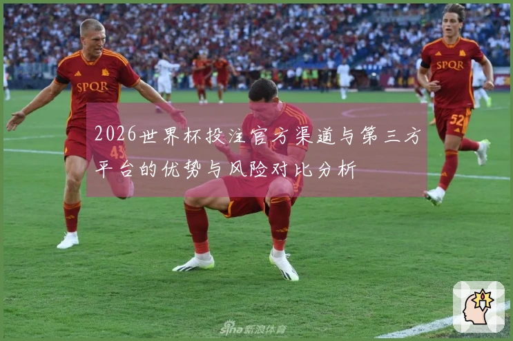 2026世界杯投注官方渠道与第三方平台的优势与风险对比分析