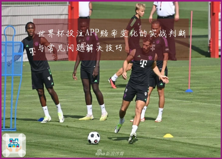 世界杯投注APP赔率变化的实战判断与常见问题解决技巧