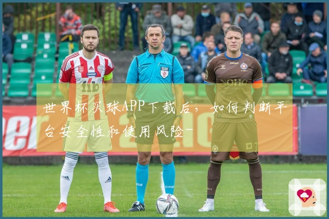世界杯买球APP下载后，如何判断平台安全性和使用风险-