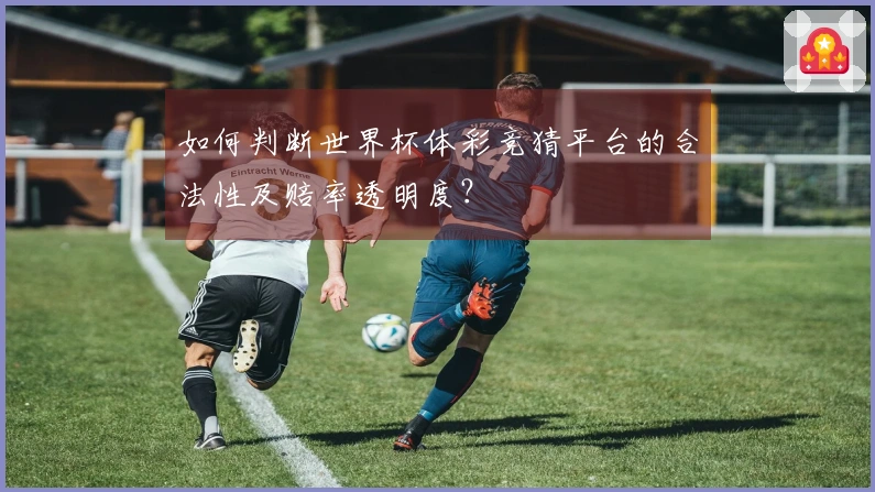 如何判断世界杯体彩竞猜平台的合法性及赔率透明度？