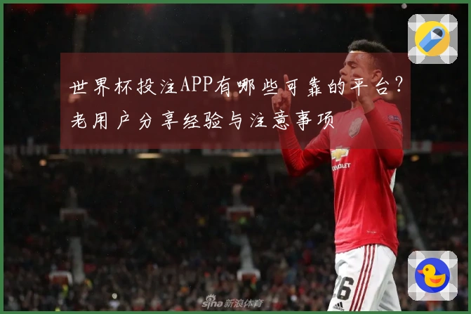 世界杯投注APP有哪些可靠的平台？老用户分享经验与注意事项
