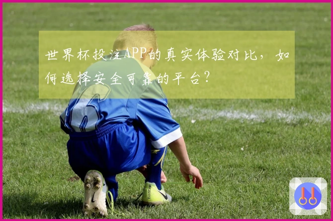 世界杯投注APP的真实体验对比，如何选择安全可靠的平台？