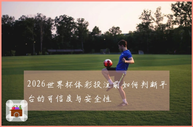2026世界杯体彩投注前如何判断平台的可信度与安全性