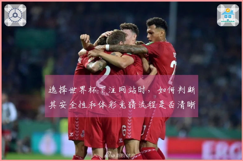 选择世界杯下注网站时，如何判断其安全性和体彩竞猜流程是否清晰？