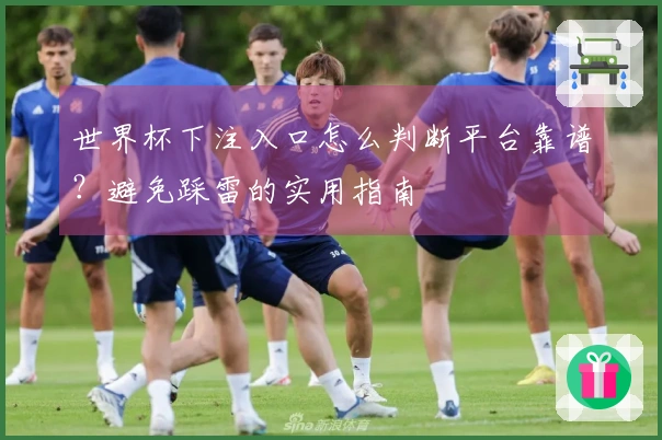 世界杯下注入口怎么判断平台靠谱？避免踩雷的实用指南