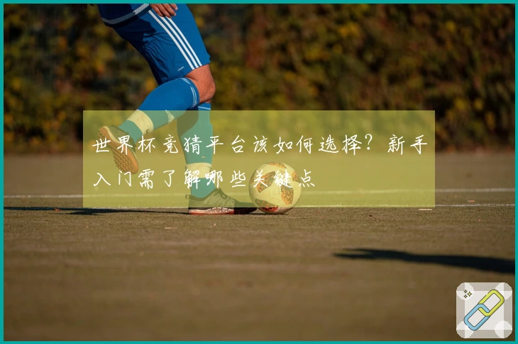 世界杯竞猜平台该如何选择？新手入门需了解哪些关键点