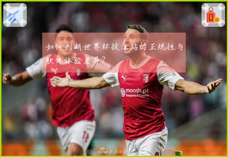 如何判断世界杯投注站的正规性与软件体验差异？