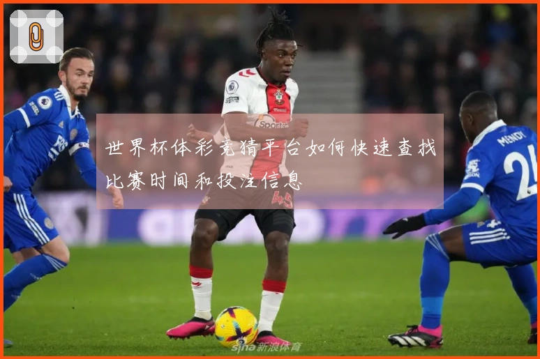 世界杯体彩竞猜平台如何快速查找比赛时间和投注信息